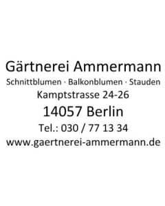 Stempel Filiale Niederlassung Geschäft Adresse Zentrale Hauptgeschäft
