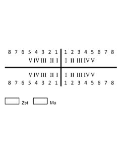 Stempel Zahnarzt Zahnschema Zahnschemastempel